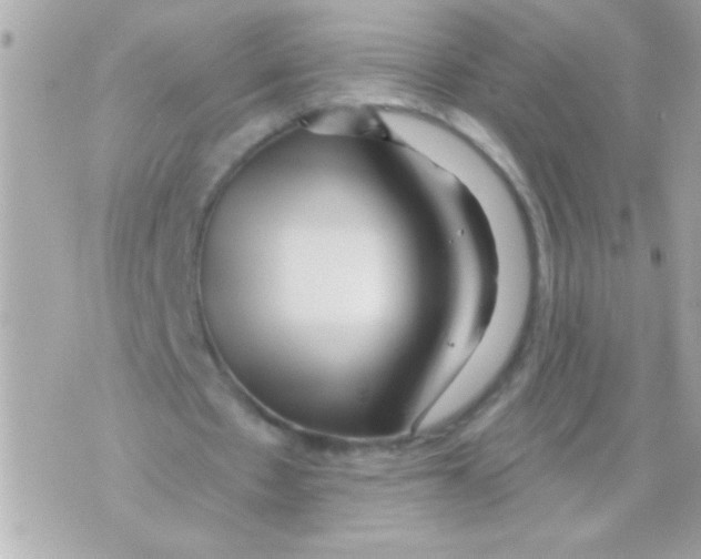 X0000070420481200607072338