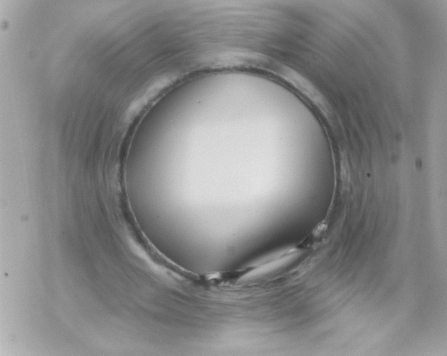 X0000070420485200607072338