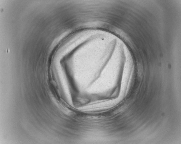 X0000070420486200607072338