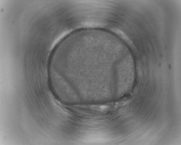 X0000070420488200607072338