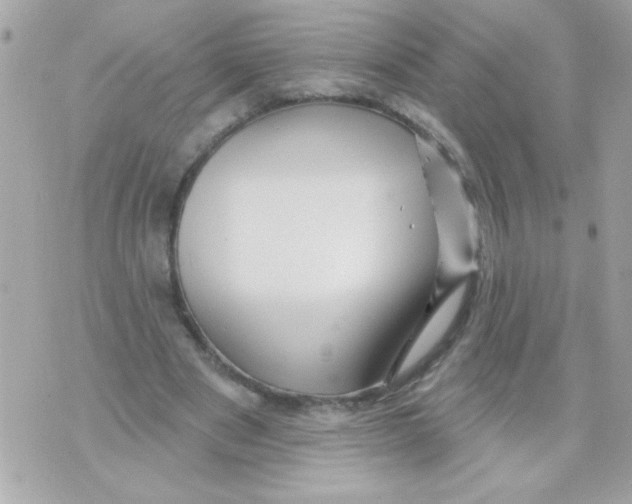 X0000070420489200607072338