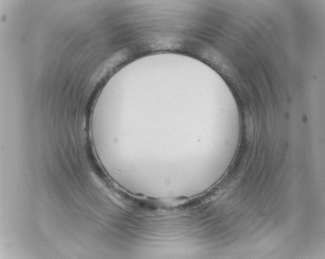 X0000070420490200607072338