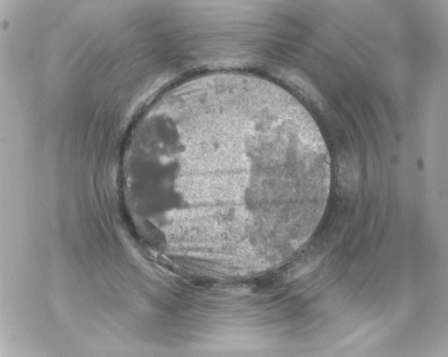 X0000070420491200607072338