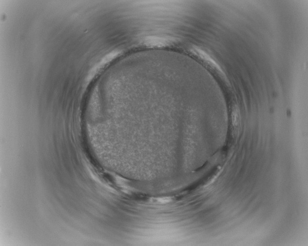 X0000070420492200607072338