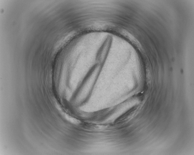 X0000070420493200607072338