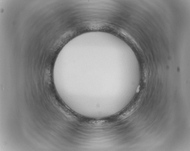 X0000070420497200607072338