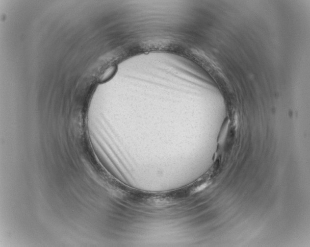 X0000070420498200607072338