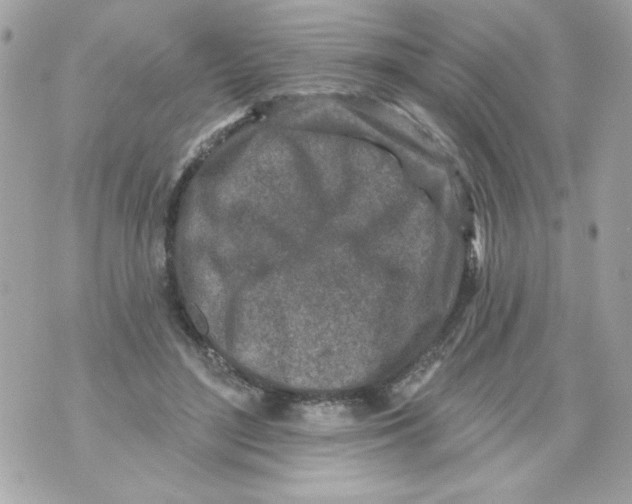 X0000070420500200607072338