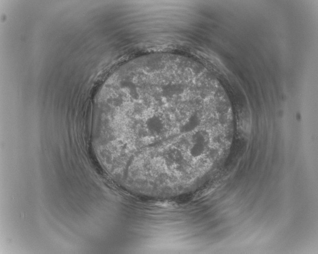 X0000070420503200607072338