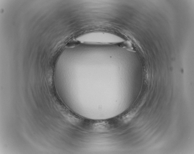 X0000070420505200607072338