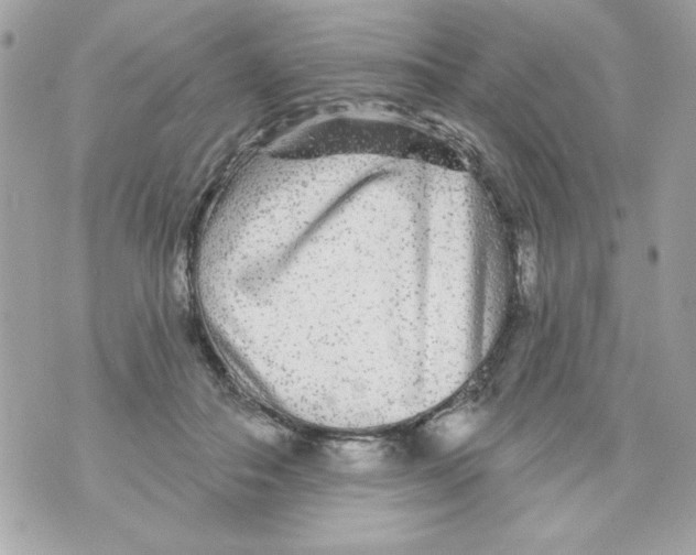 X0000070420506200607072338