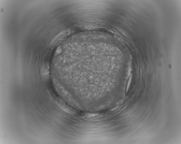 X0000070420507200607072338