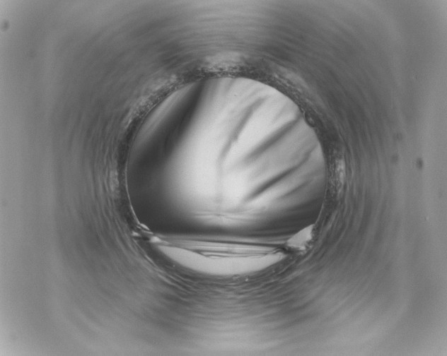 X0000070420508200607072338