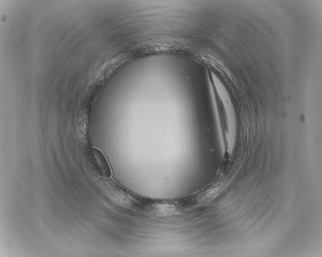 X0000070420509200607072338