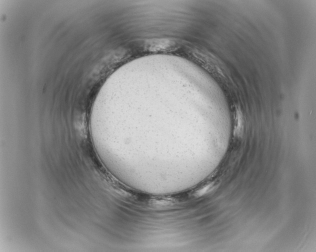 X0000070420510200607072338