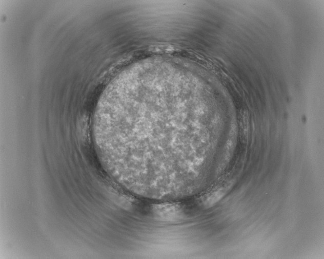 X0000070420511200607072338