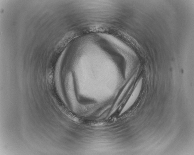 X0000070420513200607072338