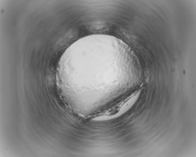 X0000070420515200607072338