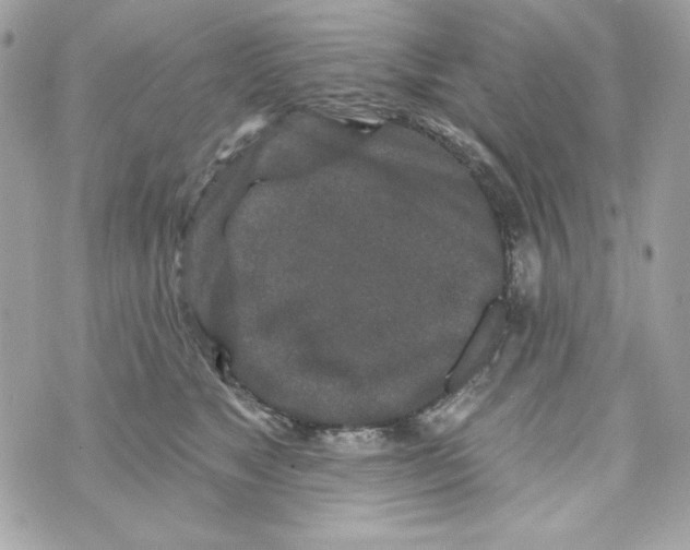 X0000070420517200607072338