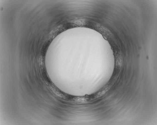 X0000070420518200607072337