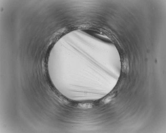 X0000070420520200607072337