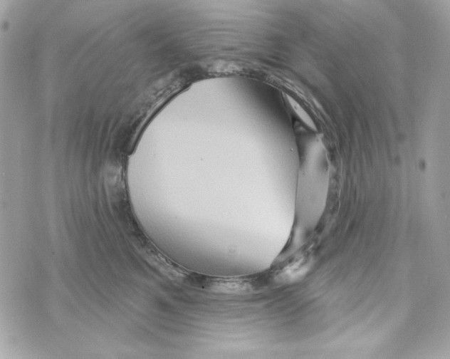 X0000070420521200607072337