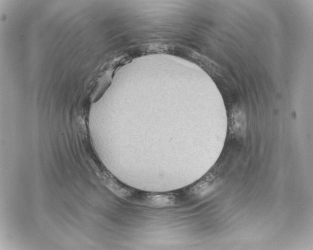 X0000070420522200607072337