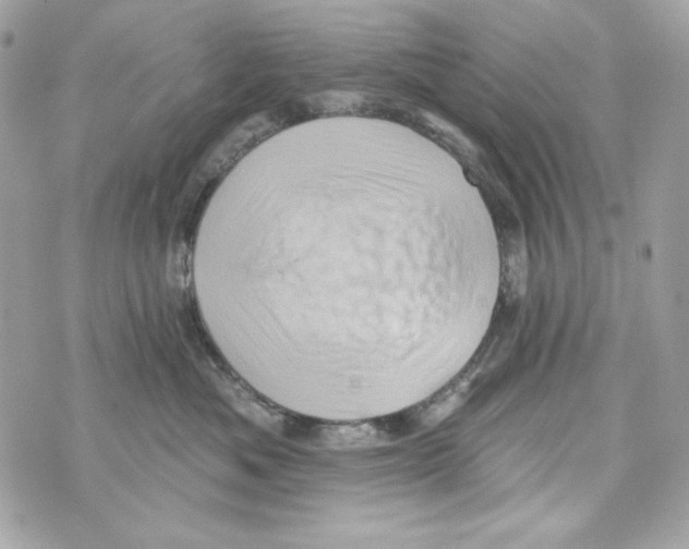 X0000070420525200607072337