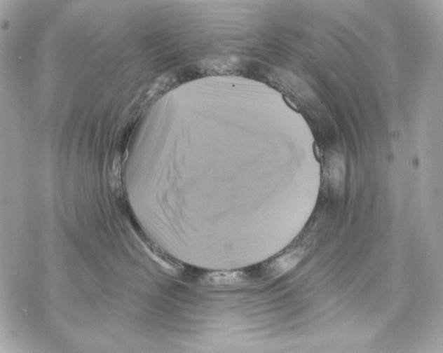 X0000070420526200607072337