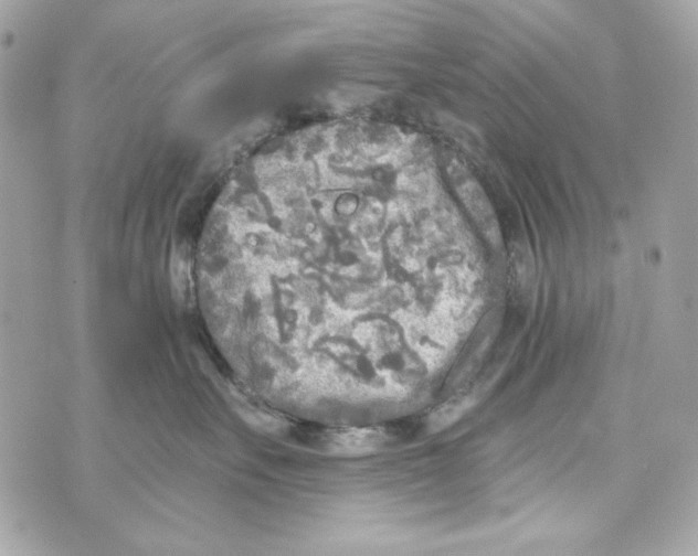 X0000070420527200607072337