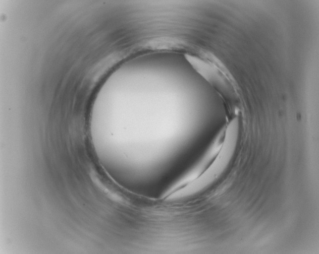 X0000070420530200607072337