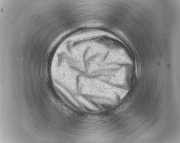 X0000070420531200607072337