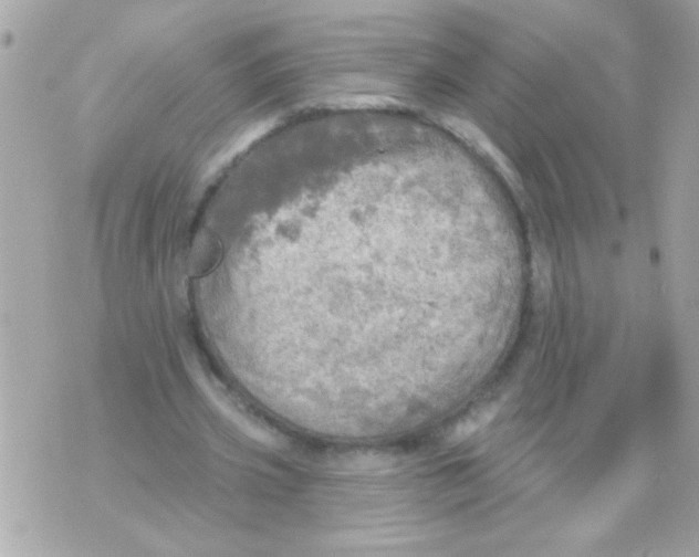 X0000070420533200607072337