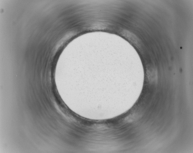 X0000070420534200607072337