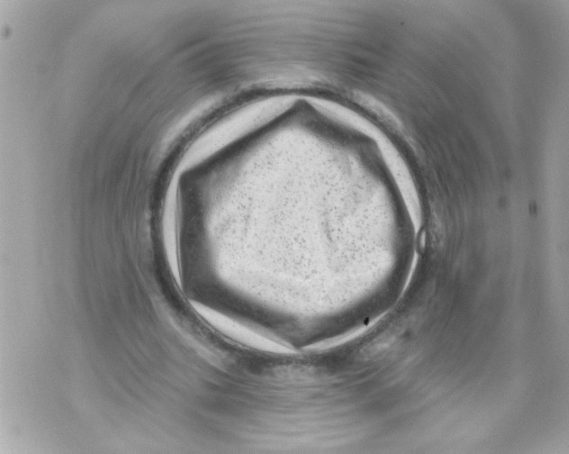 X0000070420535200607072337