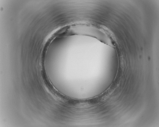 X0000070420536200607072337