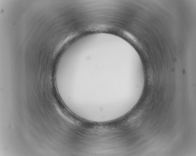 X0000070420538200607072337