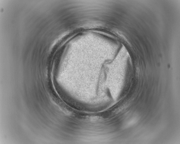 X0000070420539200607072337