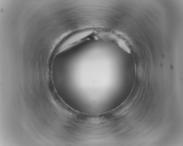 X0000070420540200607072337