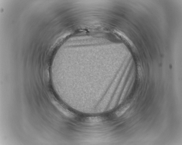 X0000070420541200607072337