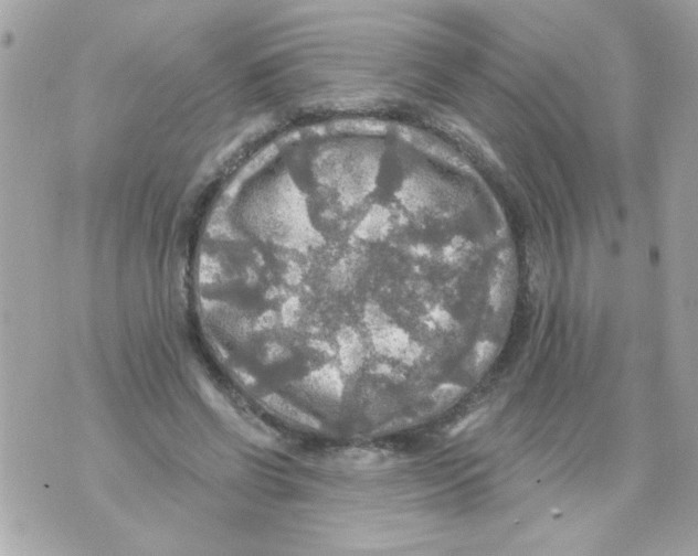 X0000070420542200607072337