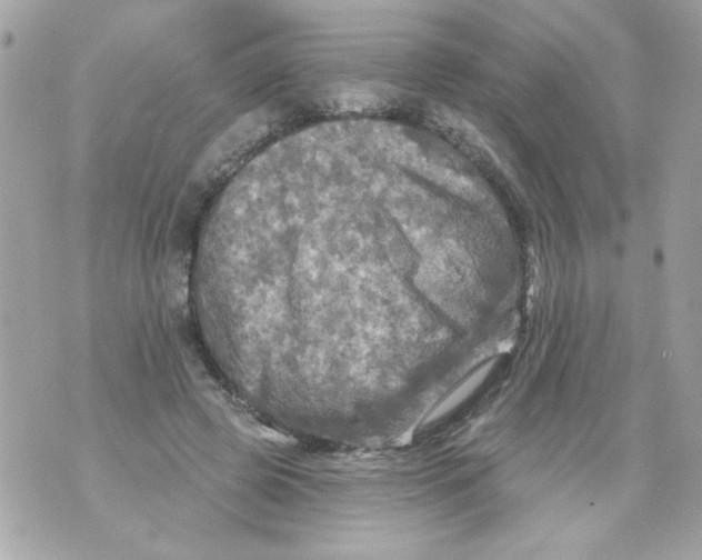 X0000070420545200607072337