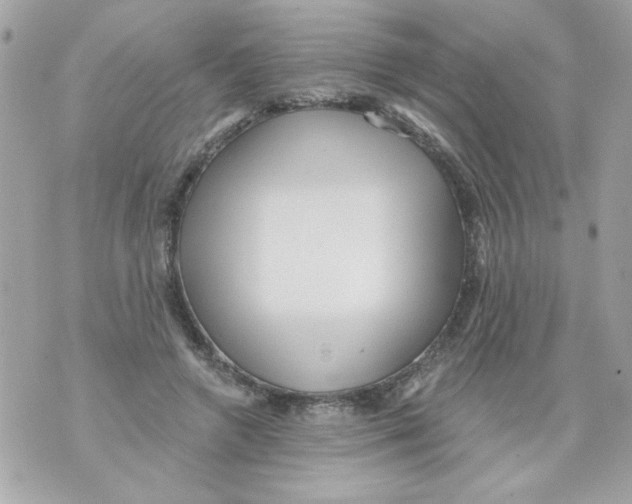 X0000070420546200607072337