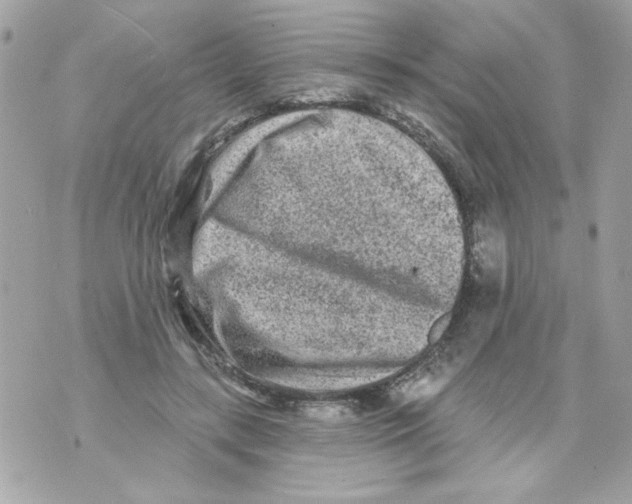 X0000070420547200607072337