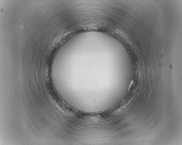 X0000070420548200607072337