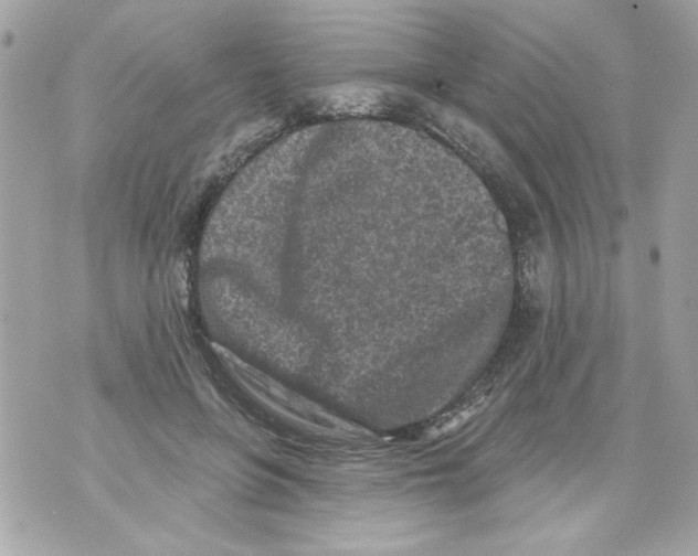 X0000070420551200607072337