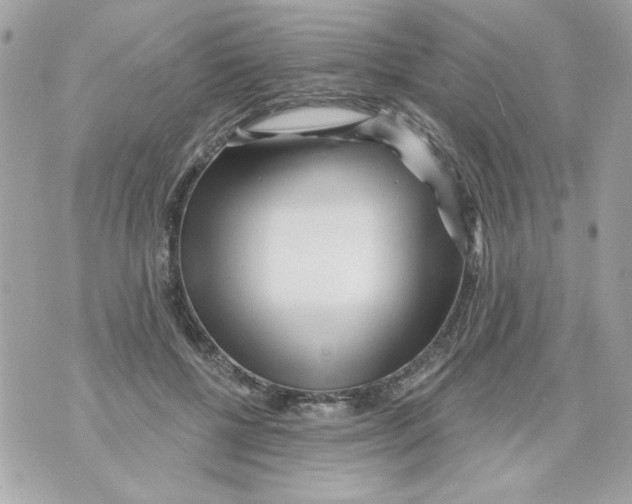 X0000070420552200607072337