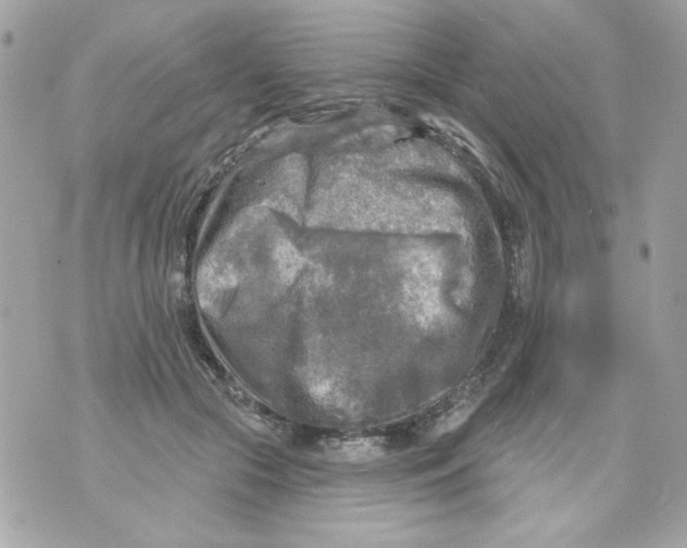 X0000070420553200607072337