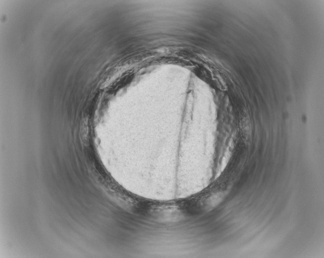 X0000070420554200607072337