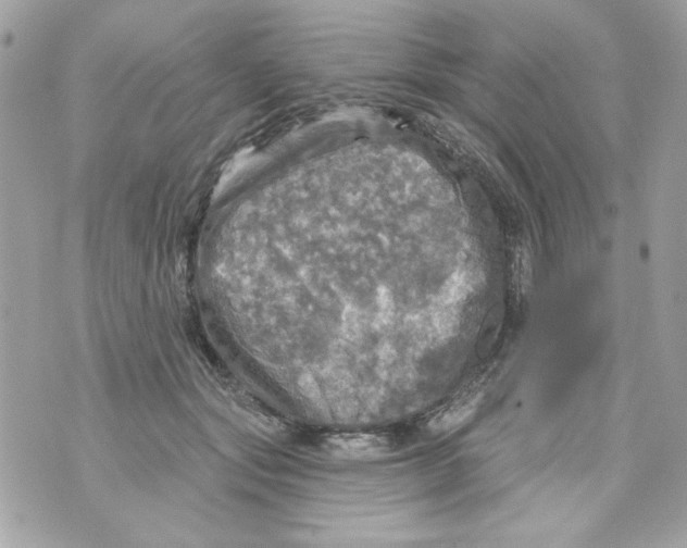 X0000070420557200607072337